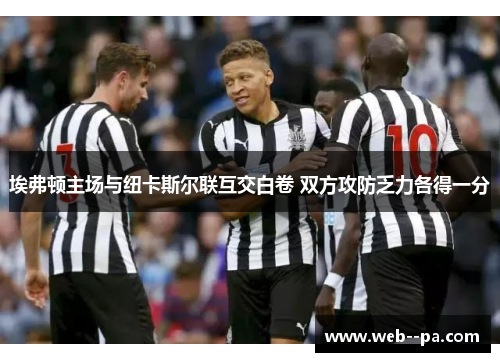 埃弗顿主场与纽卡斯尔联互交白卷 双方攻防乏力各得一分