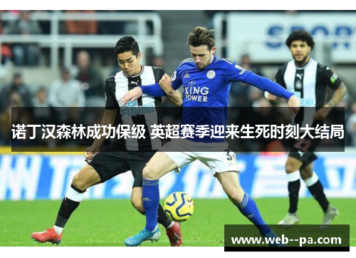 诺丁汉森林成功保级 英超赛季迎来生死时刻大结局